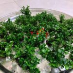 123103199_671432350237793_7934102310764744959_n