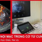 D8288100-4106-4458-8CDD-17C5E8CD21E8