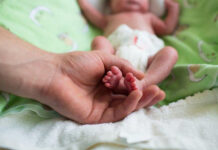 Nghiên cứu thử nghiệm lâm sàng đa trung tâm với sự tài trợ của tổ chức ObsEva S.A, Plan-les-Ouates, Geneva, Thụy Sĩ