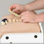 z2784802288073_acae8e6065f05575352d030195b5a541