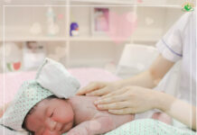 Quyết định về việc ban hành chương trình và tài liệu đào tạo liên tục