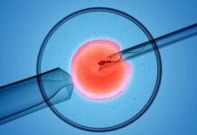 Sinh hoạt khoa học chuyên đề “Quản lý dữ liệu điều trị thụ tinh trong ống nghiệm”