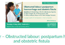 Hội thảo của FICO với chủ đề “ Chuyển dạ tắc nghẽn: Băng huyết sau sinh và lỗ rò sản khoa”