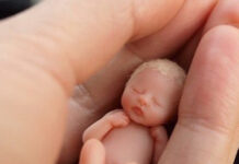 Khai giảng các khóa đào tạo trong tháng 9