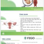 z3638227888906_e42524e8075533a6c5f6b1ee8b5c5eb9