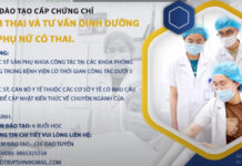 KHOÁ ĐÀO TẠO CẤP CHỨNG CHỈ