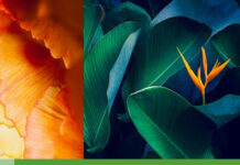 THÔNG BÁO LẦN 1 Về việc : HỘI NGHỊ SẢN PHỤ KHOA TOÀN QUỐC 2022